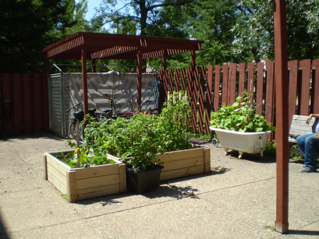 Vegetables and Friendships Grow together in the St. Anne’s Garden St